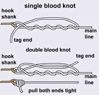 image of single and double blood knots