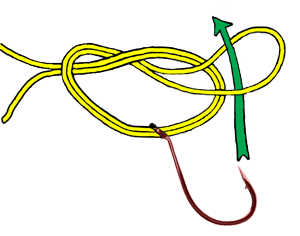 polomar knot