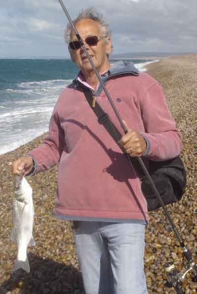 3. small bass caught on chesil beach