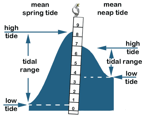 tidal range image